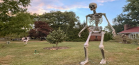 No cabe duda de que el esqueleto gigante se ha convertido en un elemento imprescindible de Halloween en Estados Unidos.