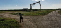 Una organización de vigilancia exige que Estados Unidos prohíba las importaciones ante la persistencia del trabajo forzoso en los campos de caña de azúcar dominicanos.