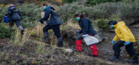 Argentinos que buscan el origen del brote de hantavirus atrapan ratas en la ciudad más austral del país.
