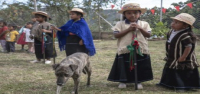 Guerrilleros violentos se están apoderando de los niños de Colombia. Grupos indígenas desarmados los están enfrentando.