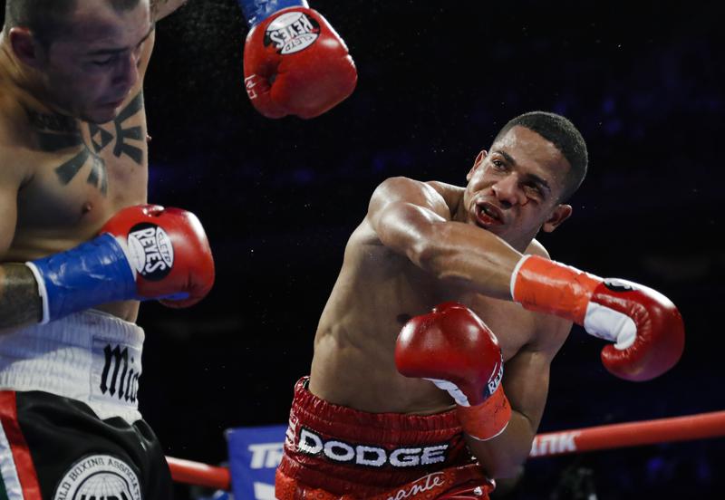 Boxeador