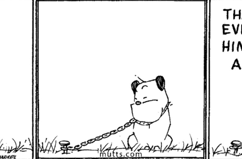 Libera mutts