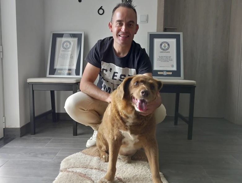 Perro muere