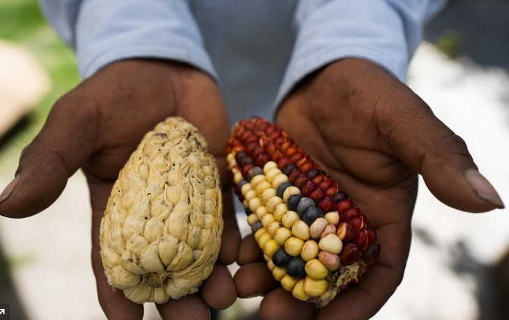 Agricultores