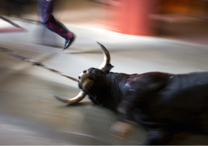 Corrida toros