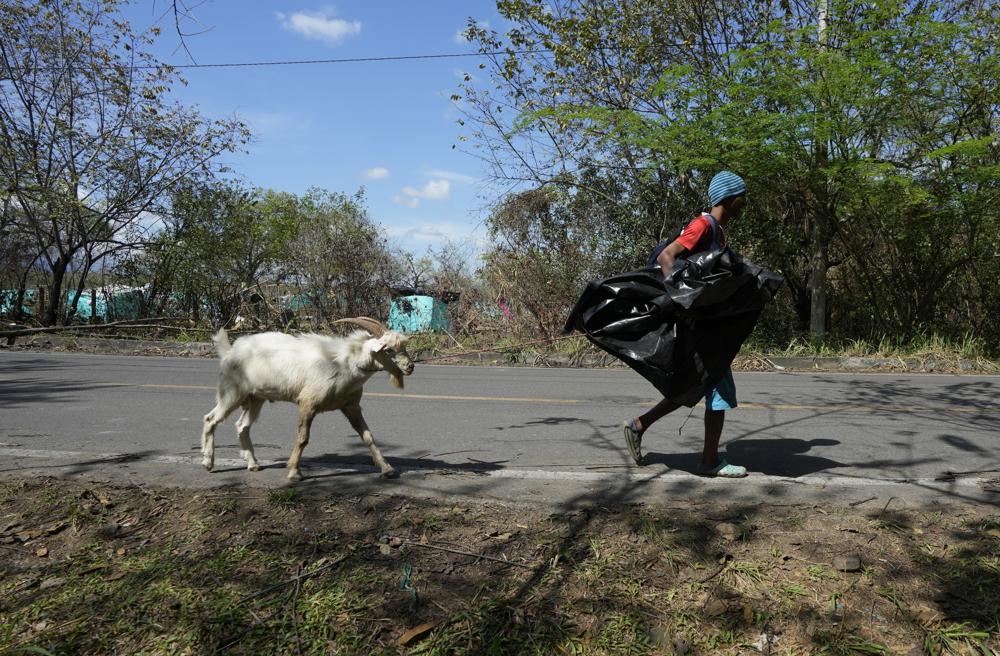 Invasiones de tierra