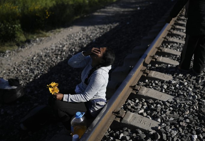 Trenes
