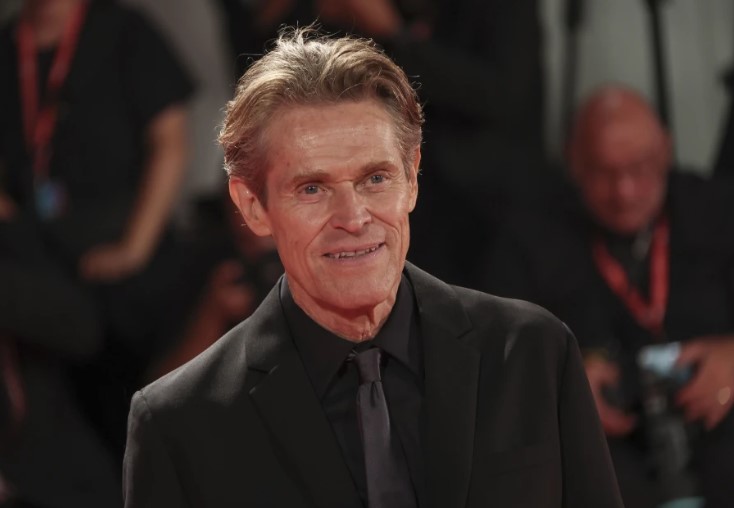 Willem director