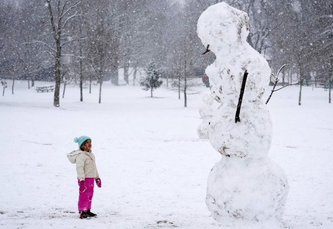 Nieve gelido