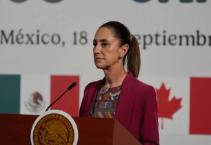 Reforma Ley