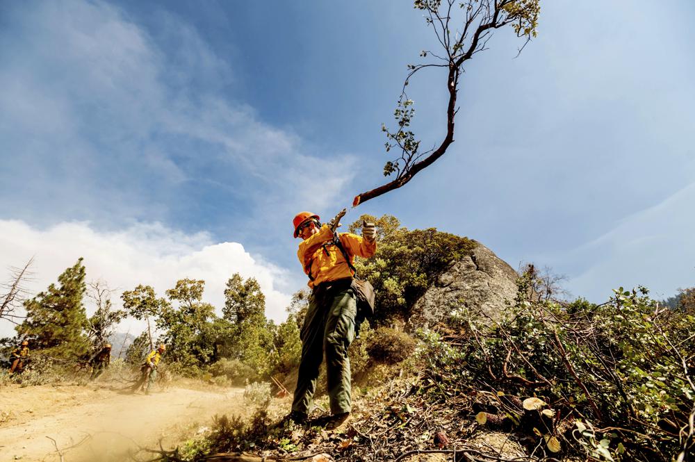 Bomberos