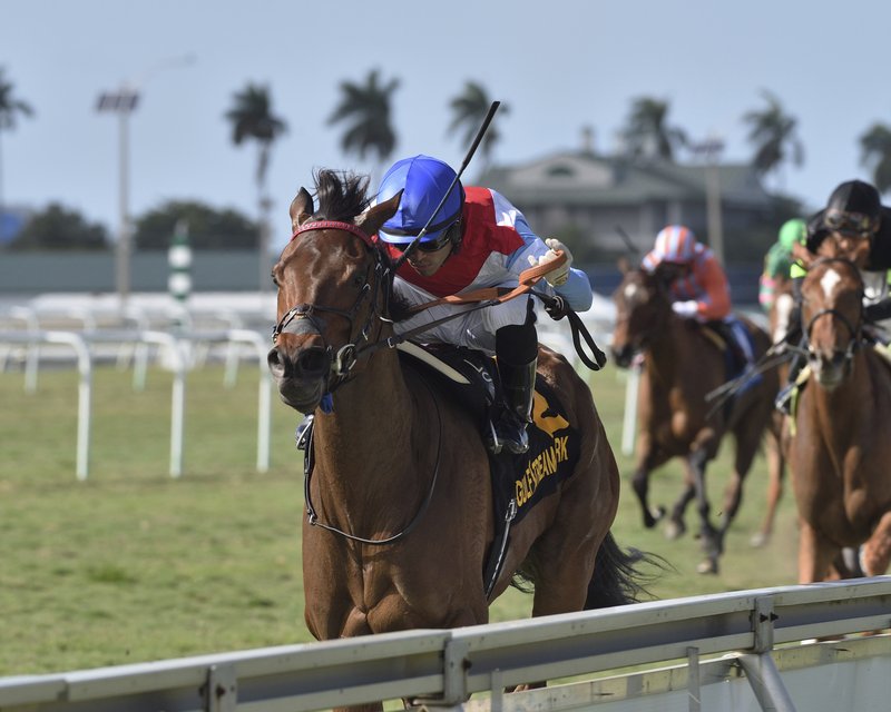 Hipismo consigue mayor tiempo en TV en medio de pandemia