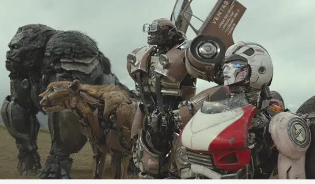 Saga Trans