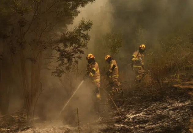 90 incendios