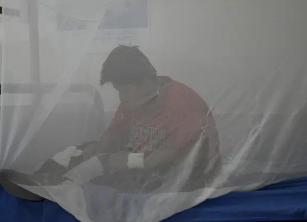 Dengue Bolivia