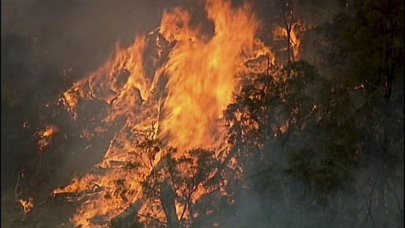 Australia cancela celebraciones de Año Nuevo por incendios