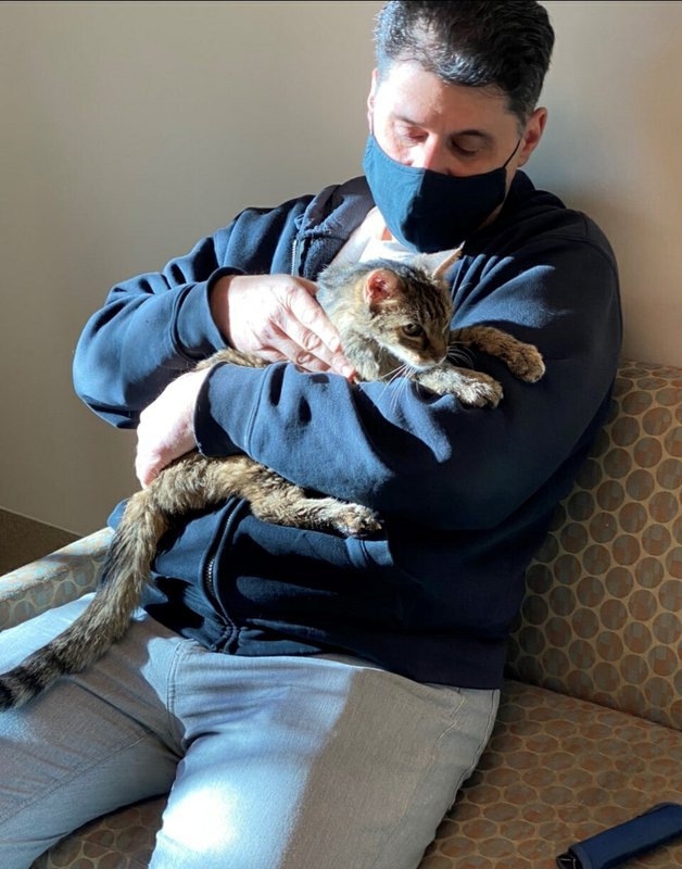 gataextraviada